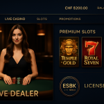 Top 10 Swiss Online Casinos for 2026